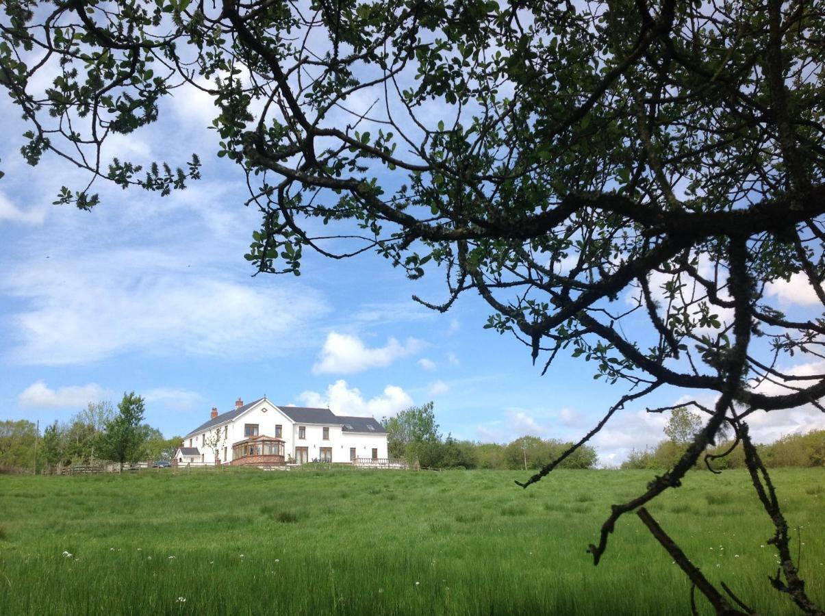 Penddaulwyn Uchaf Farm # Carmarthenshire Daire Nantgaredig Dış mekan fotoğraf
