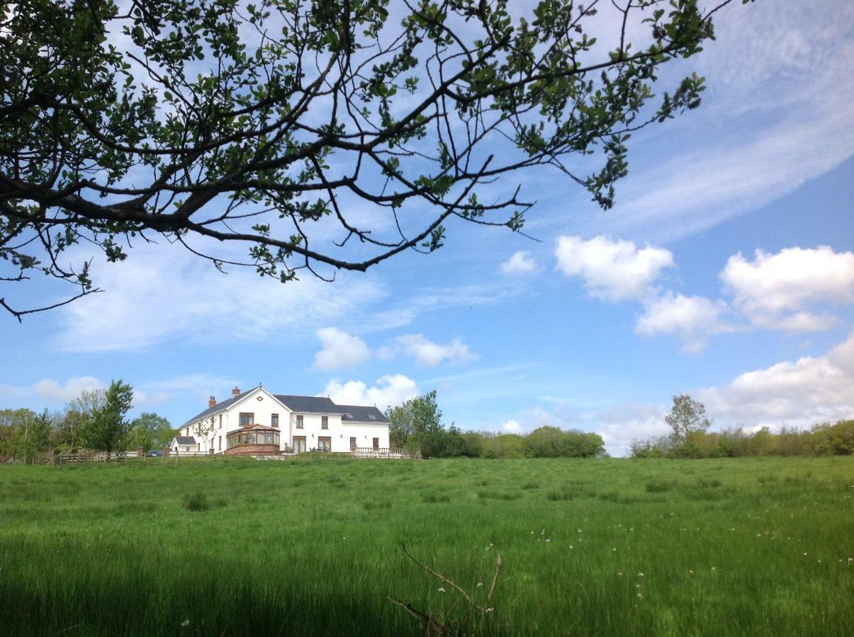 Penddaulwyn Uchaf Farm # Carmarthenshire Daire Nantgaredig Dış mekan fotoğraf