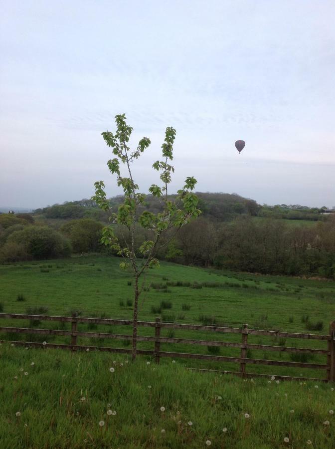 Penddaulwyn Uchaf Farm # Carmarthenshire Daire Nantgaredig Dış mekan fotoğraf