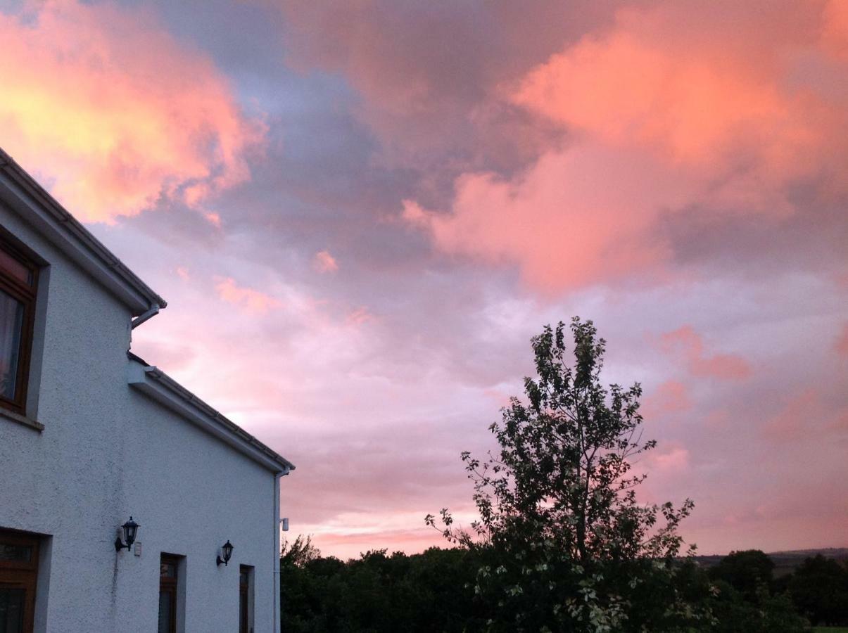 Penddaulwyn Uchaf Farm # Carmarthenshire Daire Nantgaredig Dış mekan fotoğraf