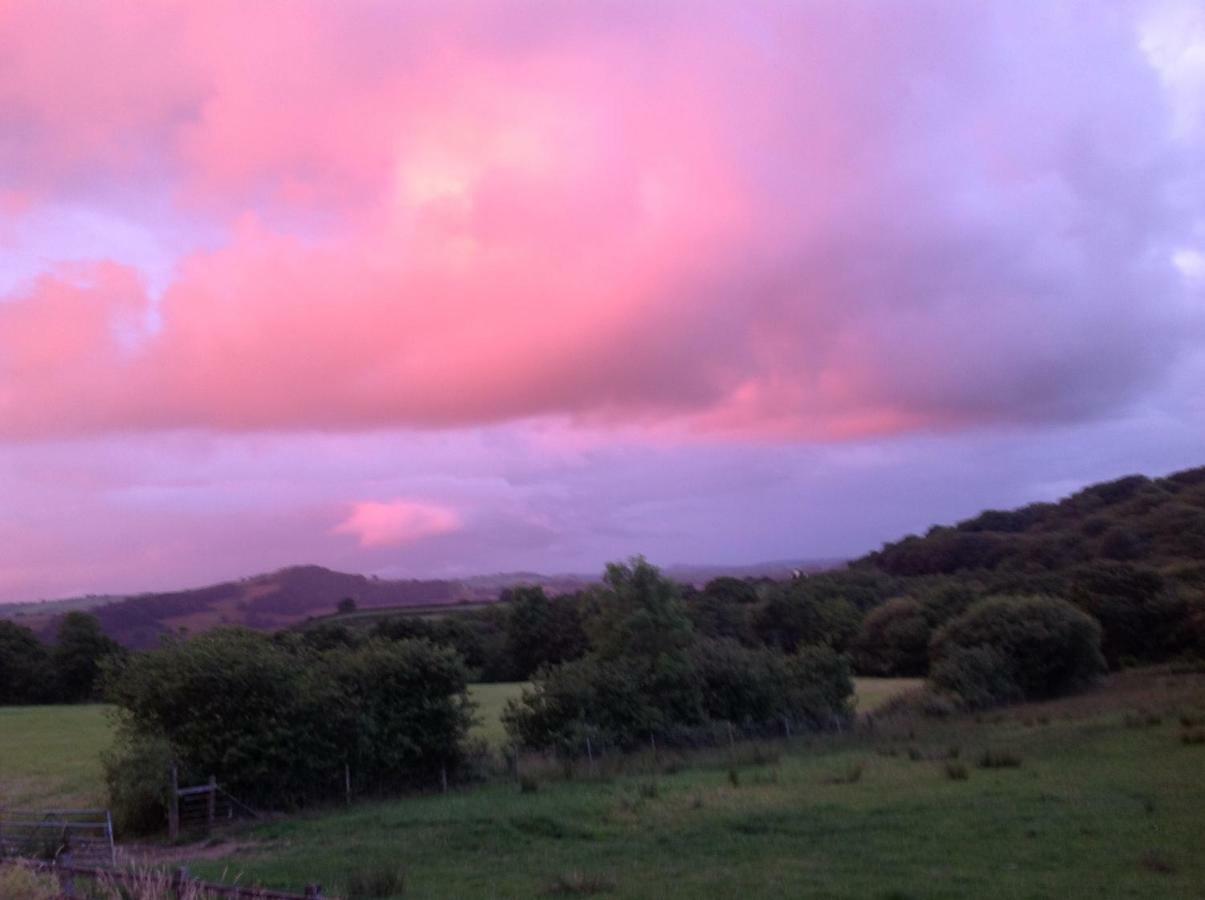 Penddaulwyn Uchaf Farm # Carmarthenshire Daire Nantgaredig Dış mekan fotoğraf