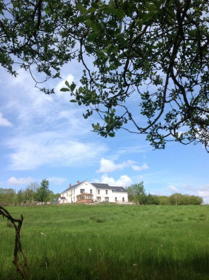 Penddaulwyn Uchaf Farm # Carmarthenshire Daire Nantgaredig Dış mekan fotoğraf